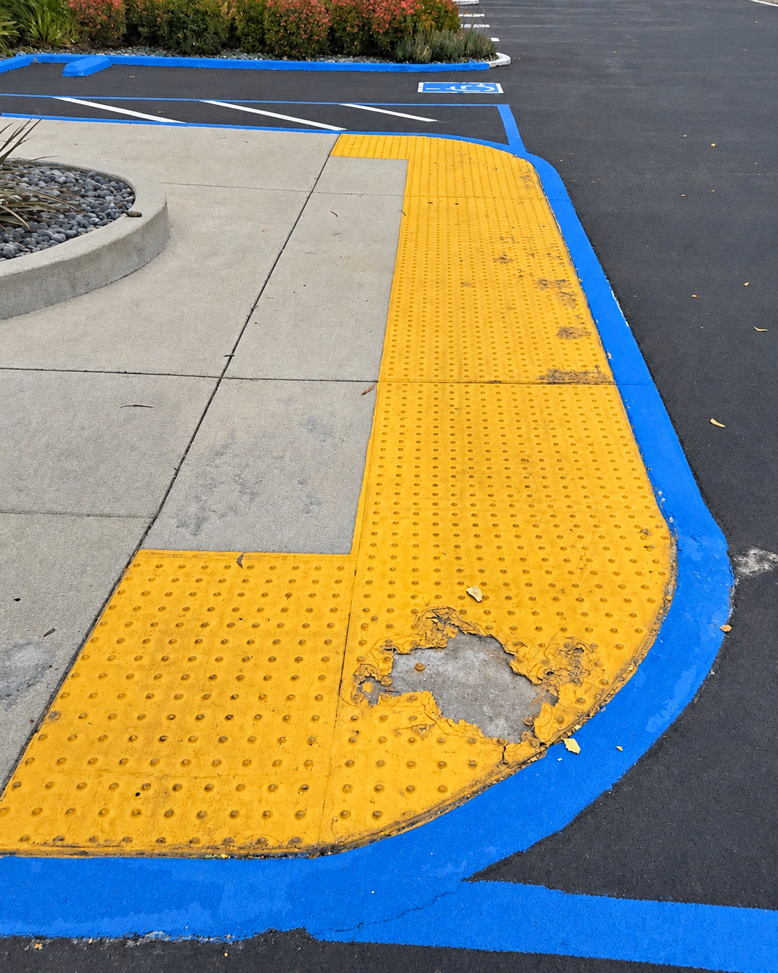 Damaged yellow truncated-dome surface beside a blue curb.